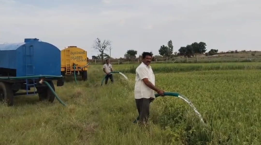 ఎల్ నినో ప్రభావానికి తోడుగా విద్యుత్ కోతలతో వరిపంటకు నీటి పారుదలలో సమస్యలు చేతికి అందివచ్చే సమయంలో నీటిలభ్యతలో అసౌకర్యాలు